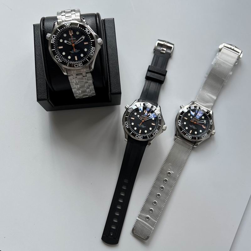 Omega watch 042912